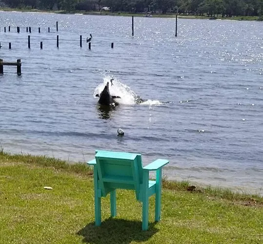 With Private On Bayou Grande *